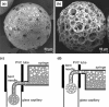 Fig. 14