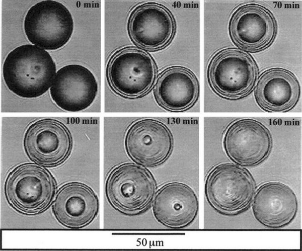 Fig. 2