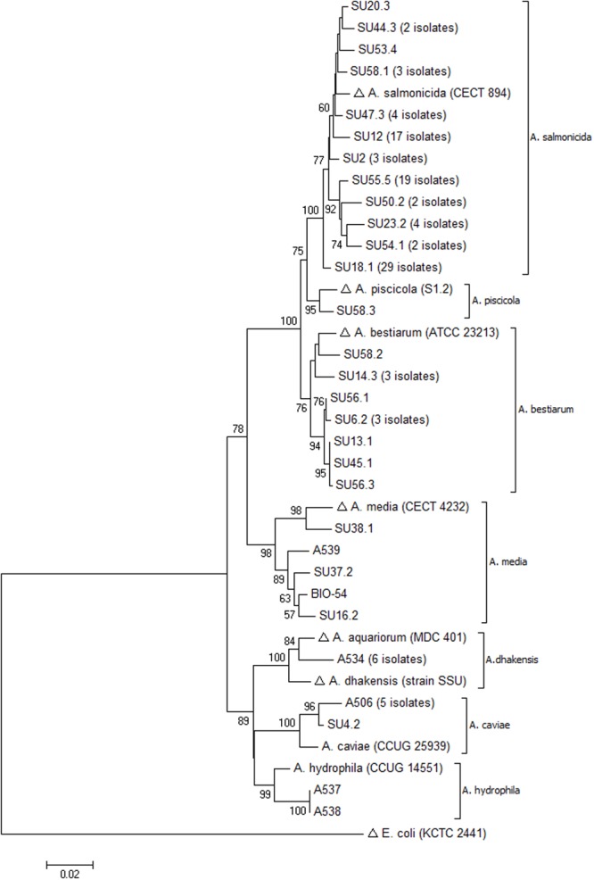 FIGURE 2