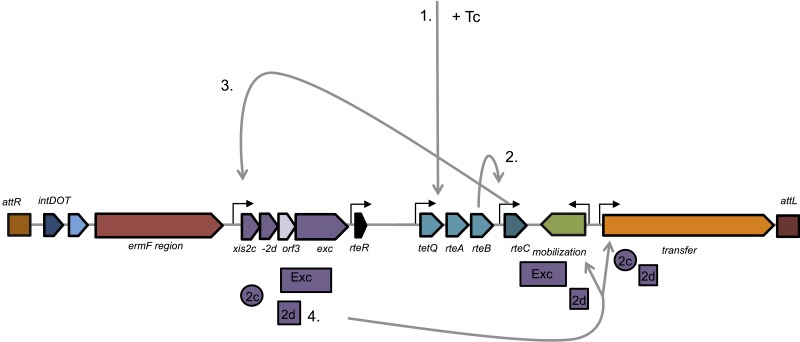 FIG 2 