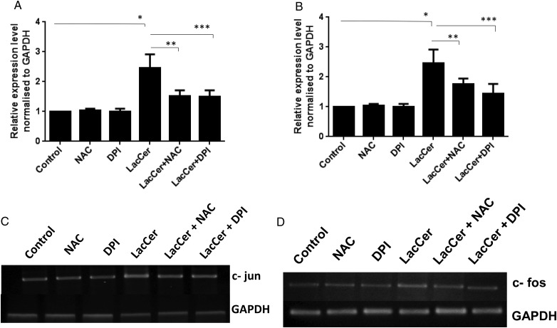 Fig. 9.