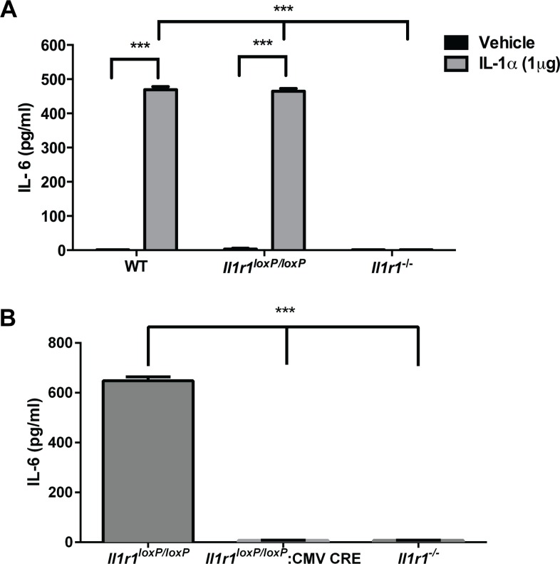 Fig 5