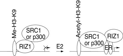 FIG. 9.