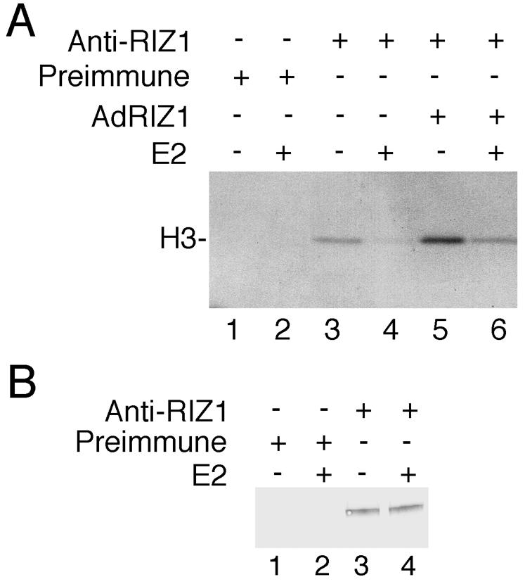 FIG. 8.