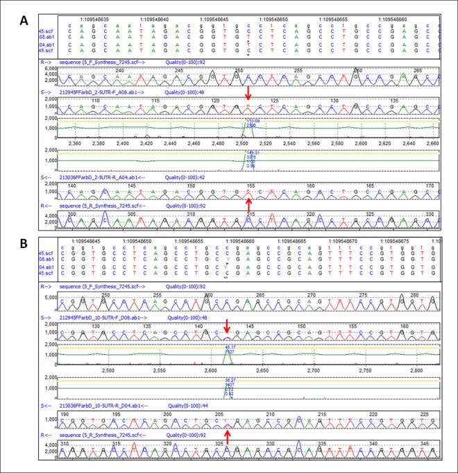 Fig 3