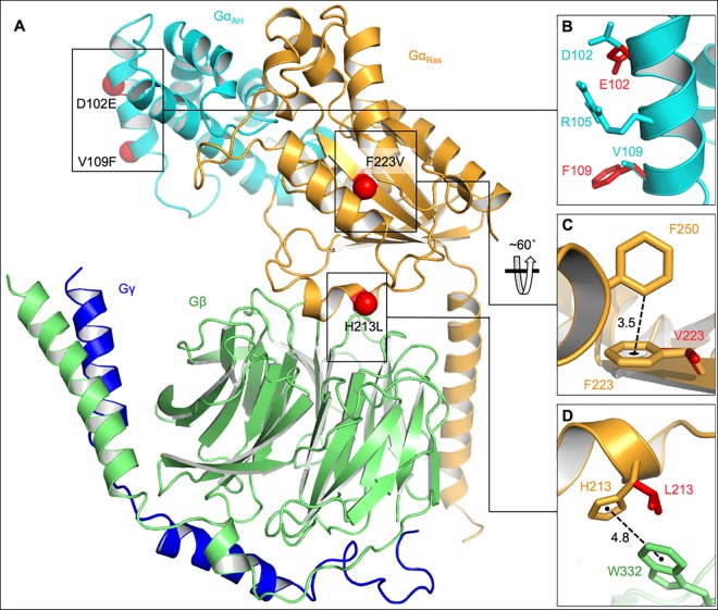 Fig 6