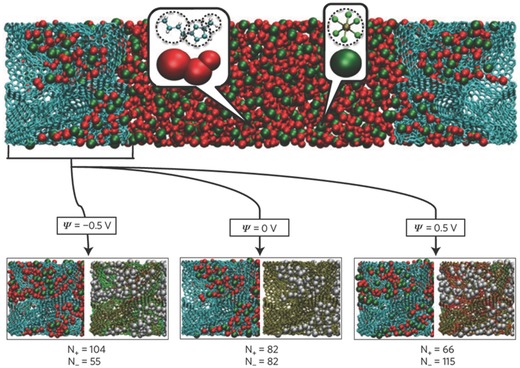 Figure 24