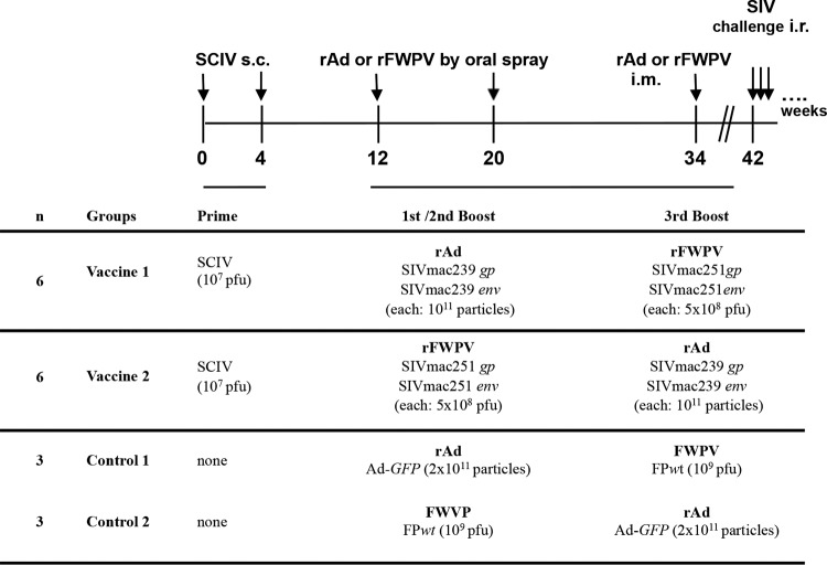 FIG 1