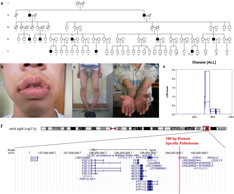 Fig. 1