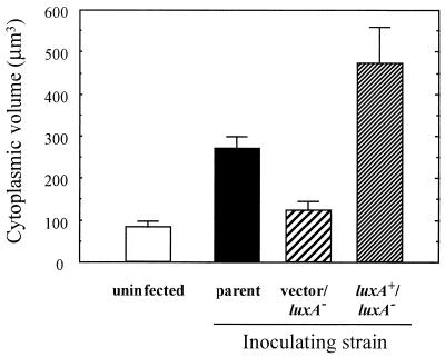 FIG. 7