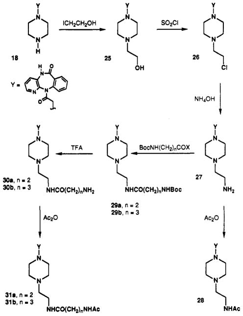 Scheme V