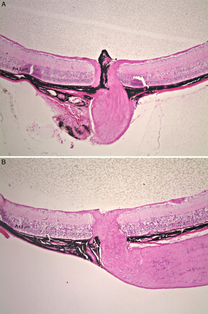 Figure 12. 