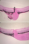 Figure 12.