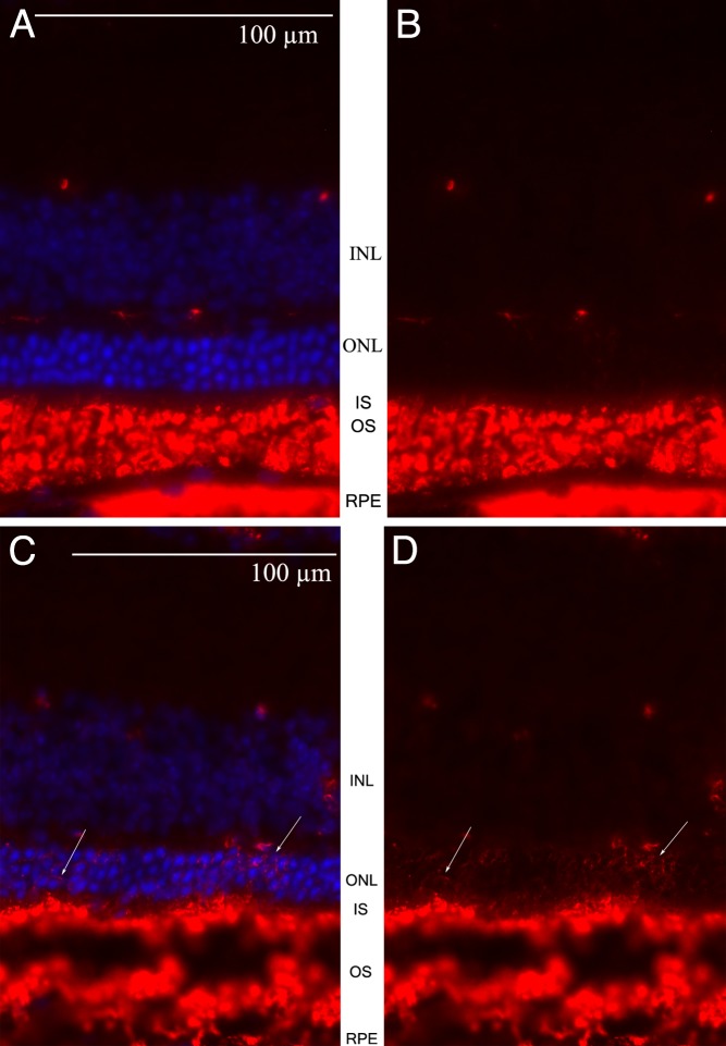 Figure 14. 