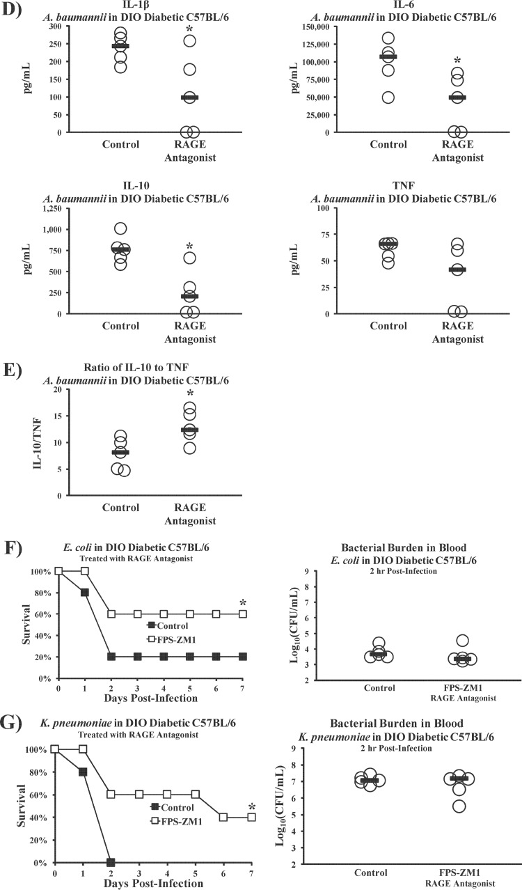 FIG 6 