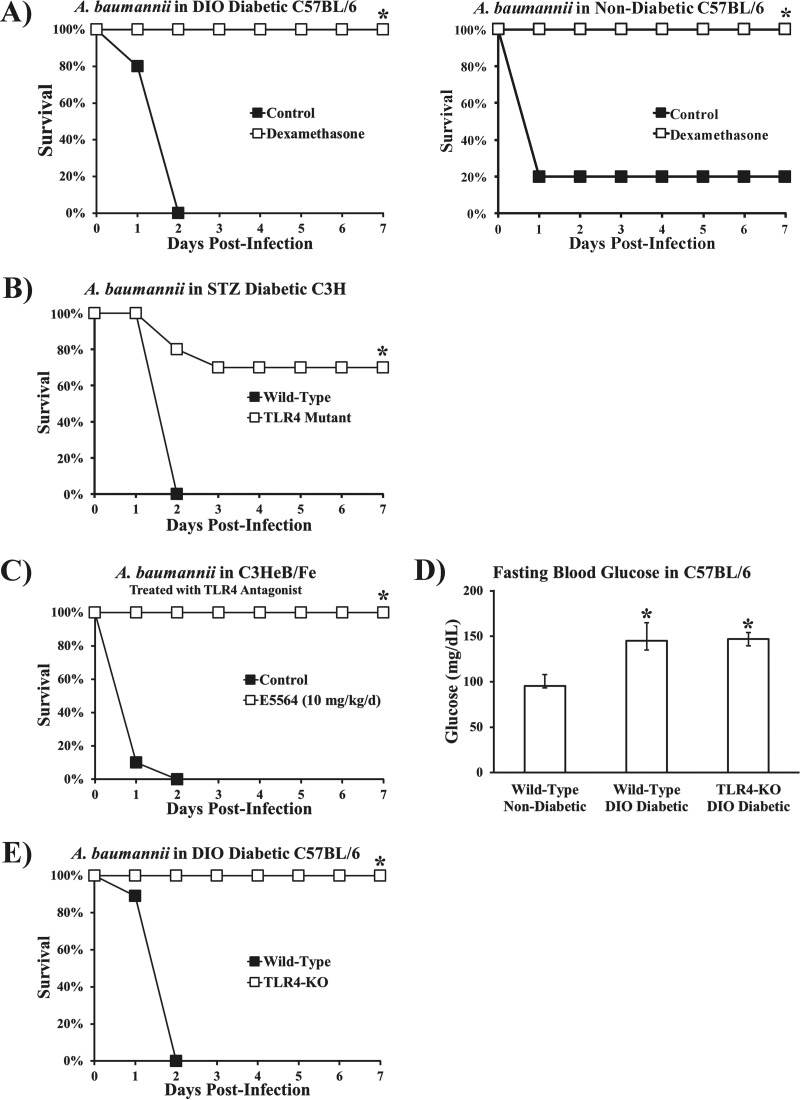 FIG 3 