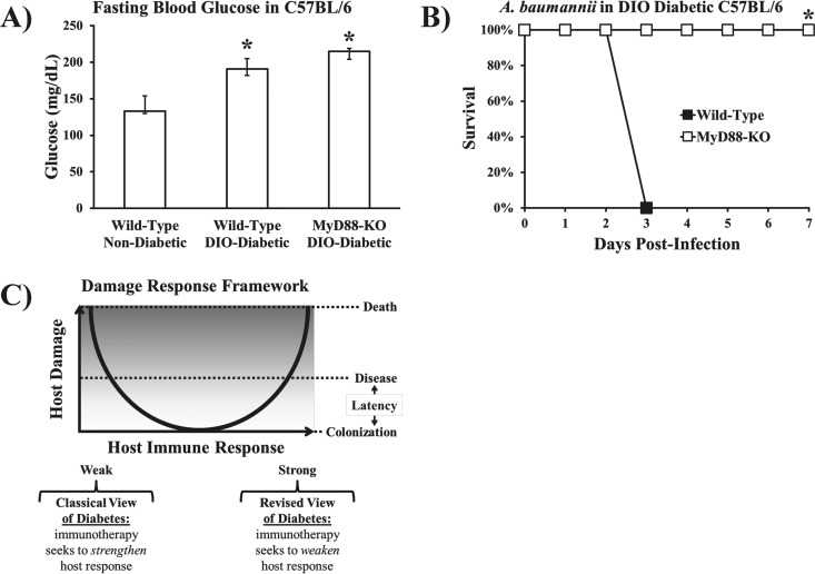 FIG 8 