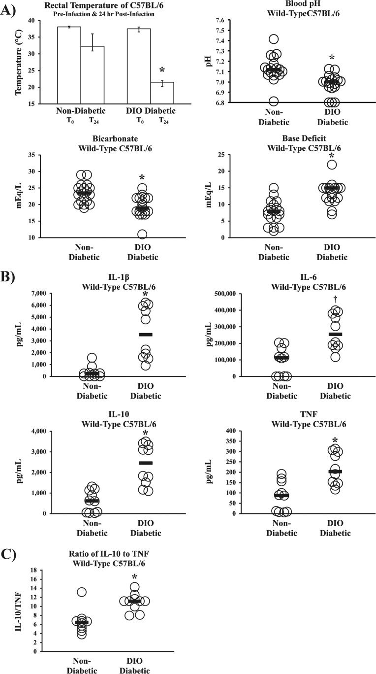 FIG 2 