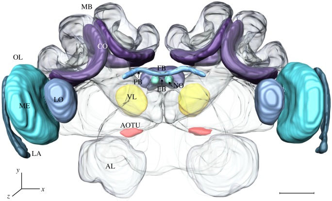 Figure 2.