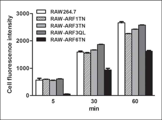 Fig. 6