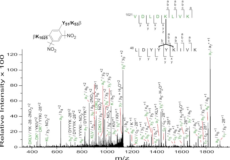 FIGURE 2.