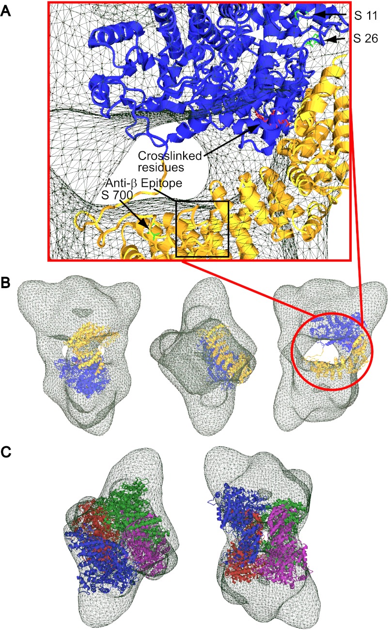 FIGURE 5.