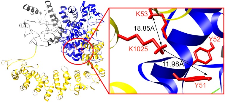 FIGURE 3.