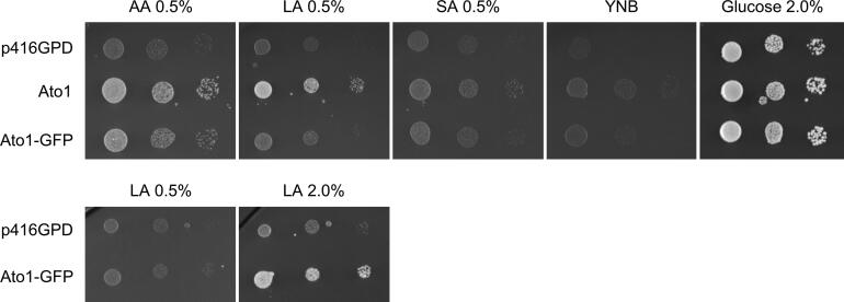 Supplementary Fig. 2