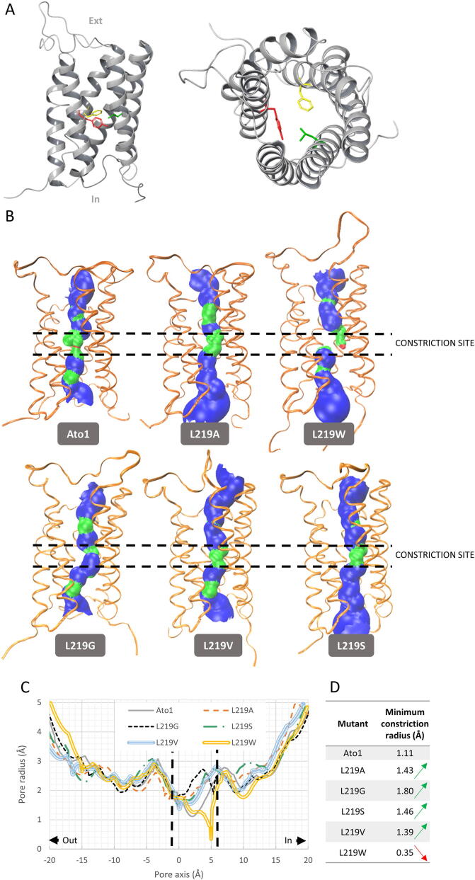 Fig. 3