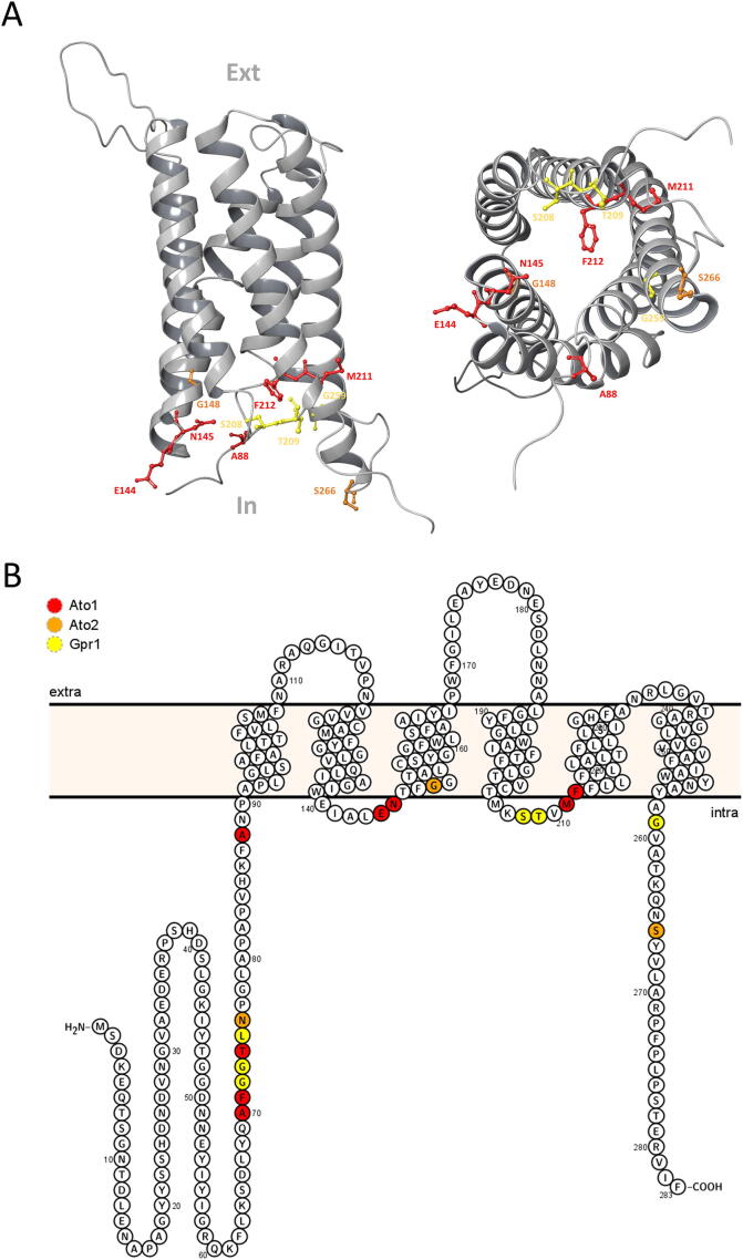 Fig. 7