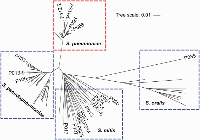 Figure 2.