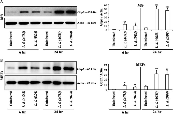 FIG 2