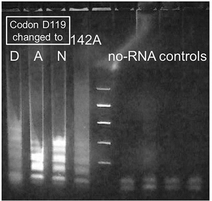 FIGURE 4