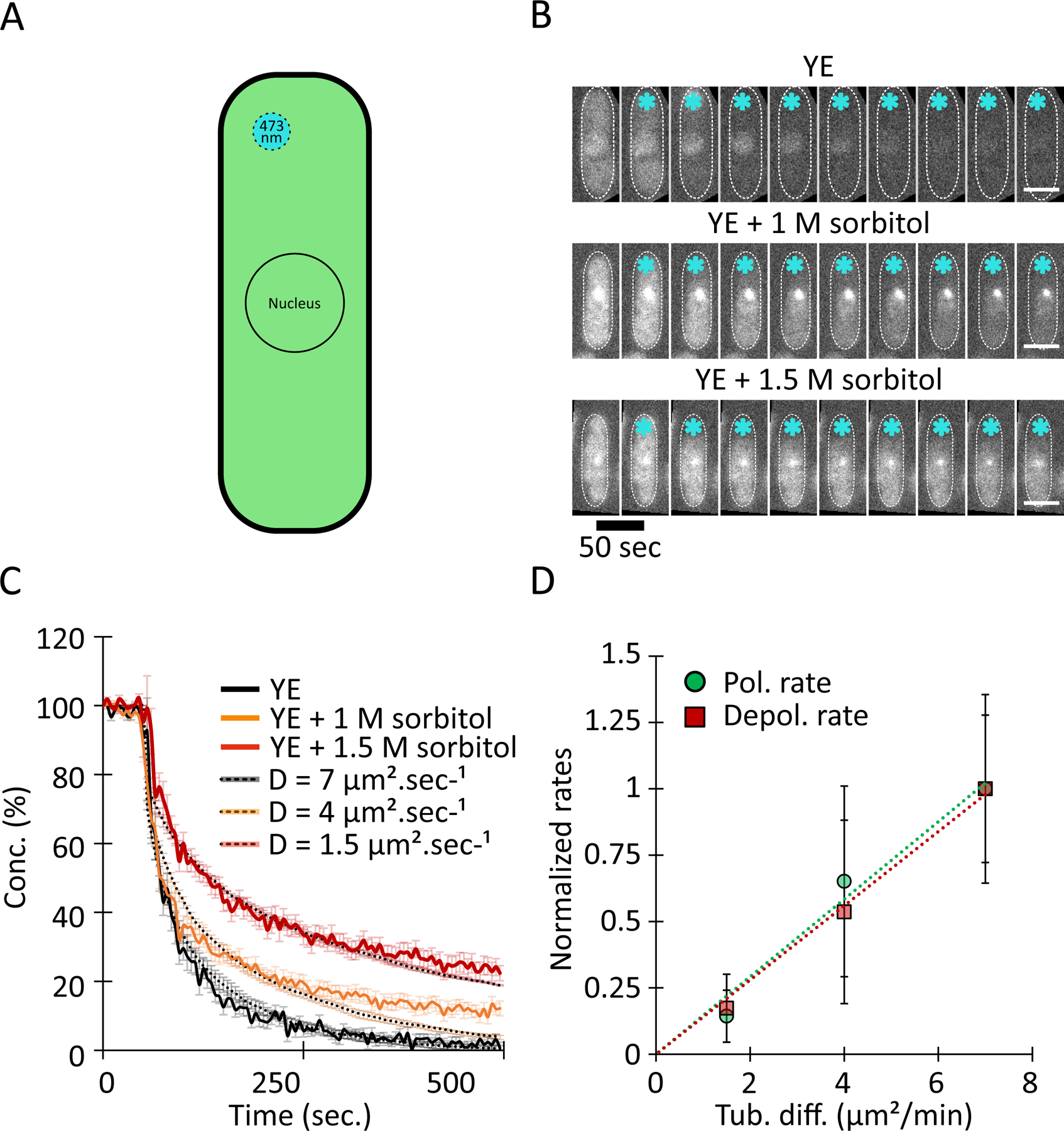 Figure 5: