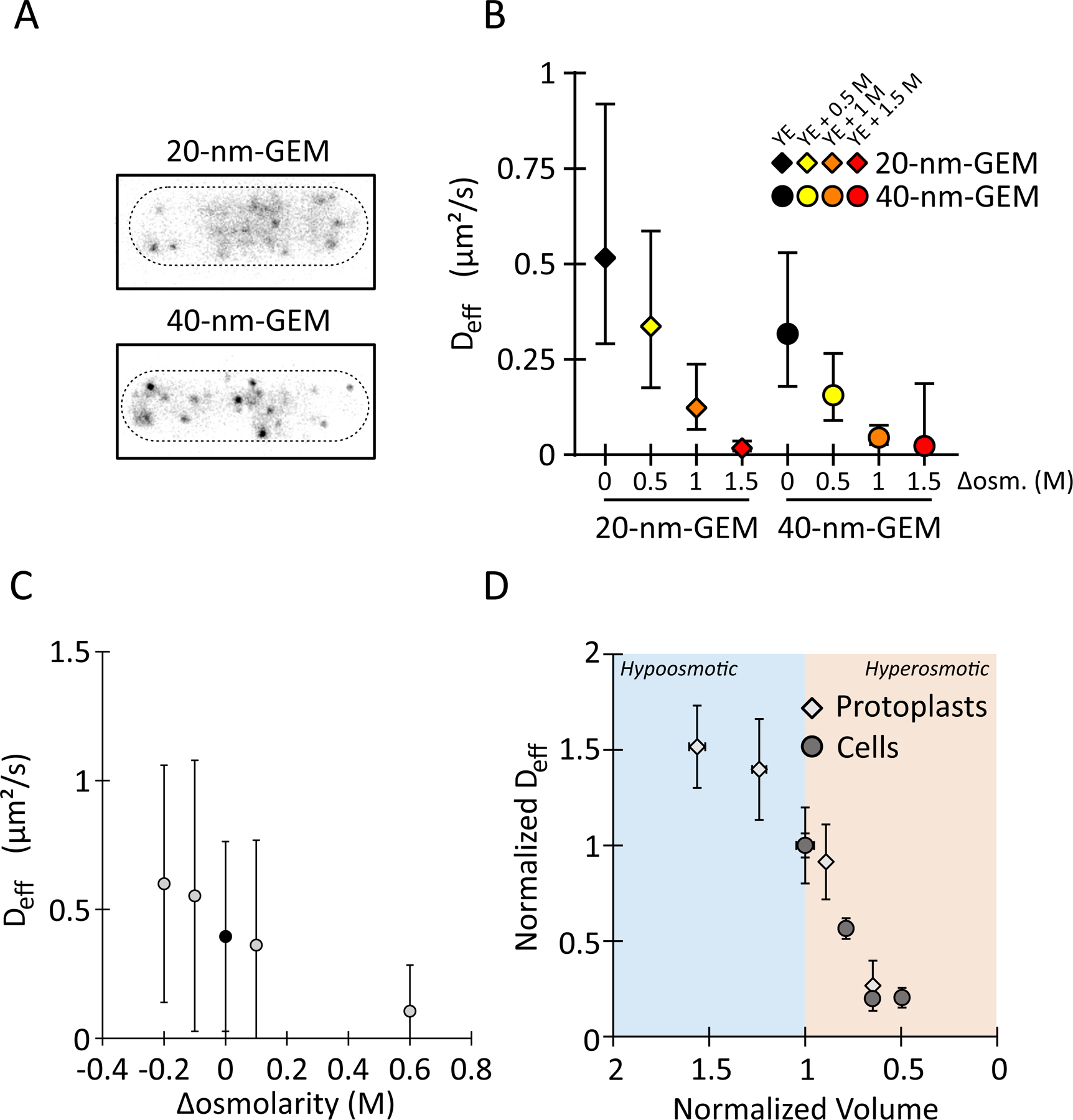 Figure 4: