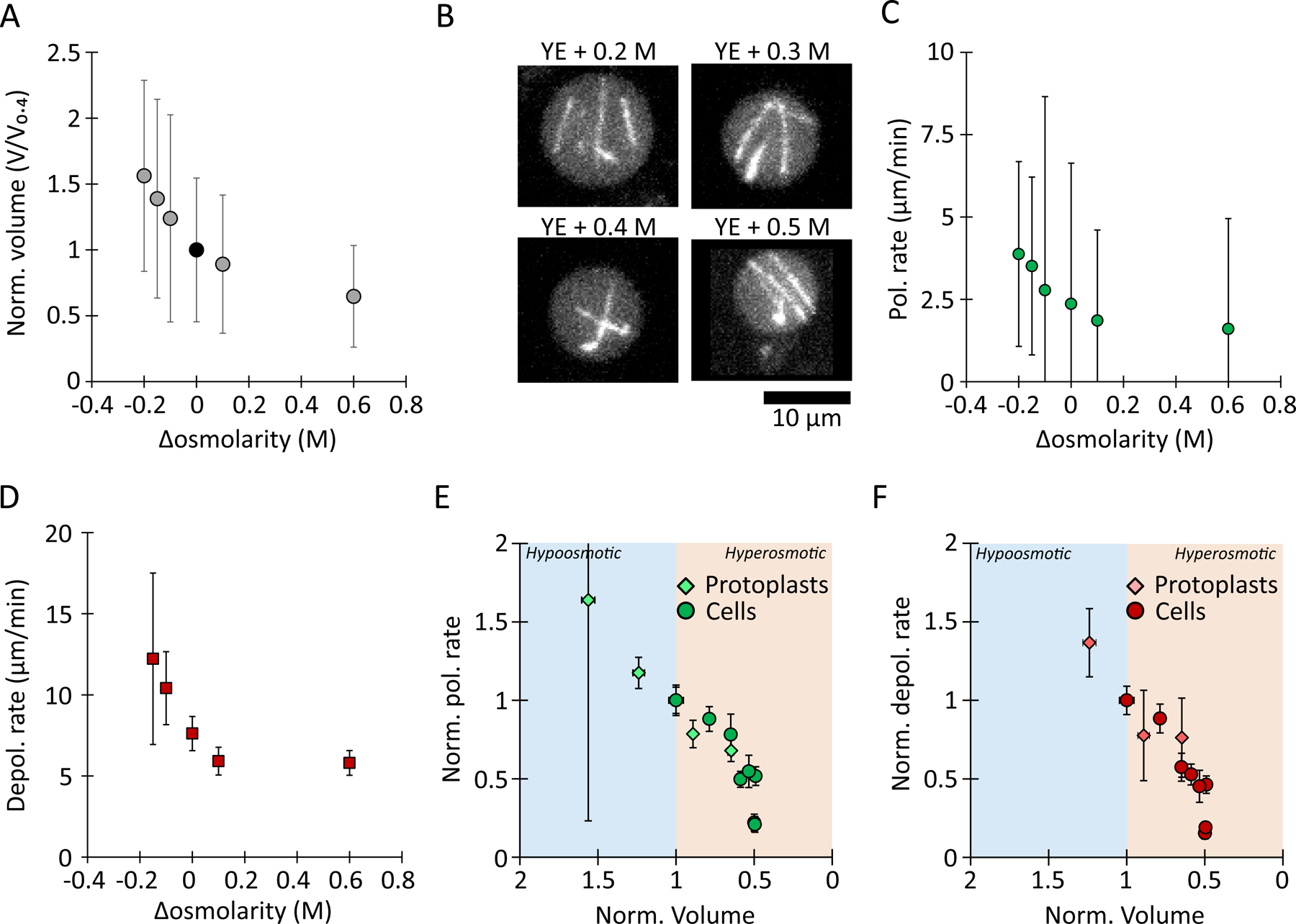 Figure 2: