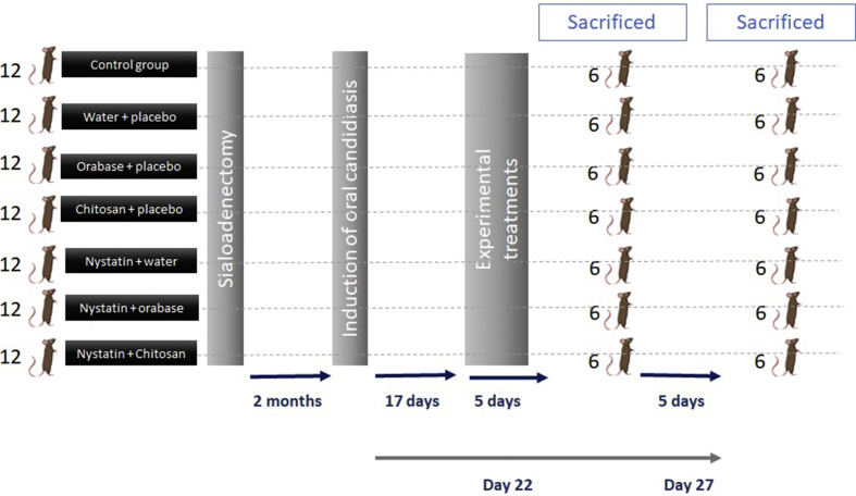 Figure 2