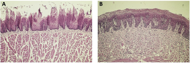 Figure 5