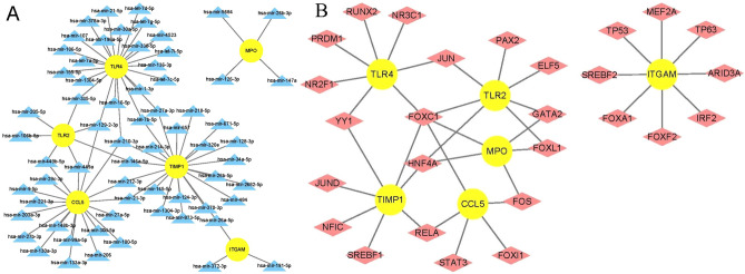 Figure 13