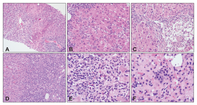 Fig. 4