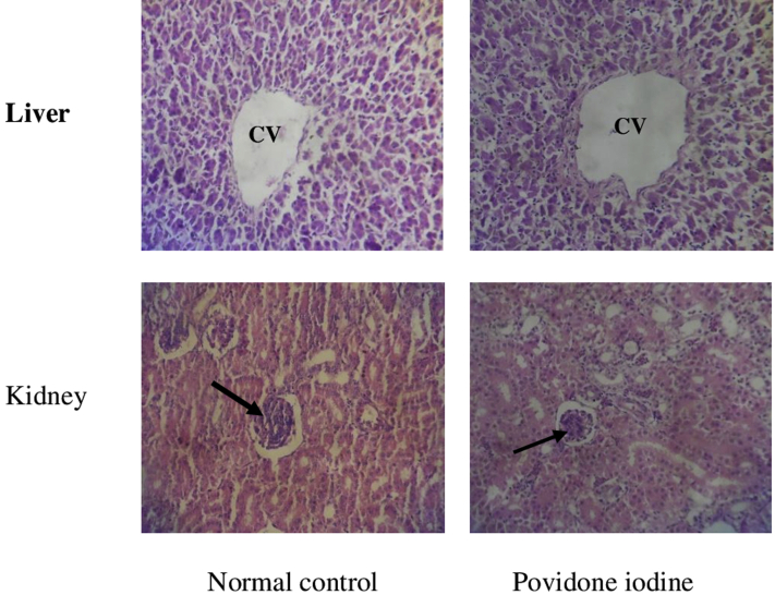 Figure 1