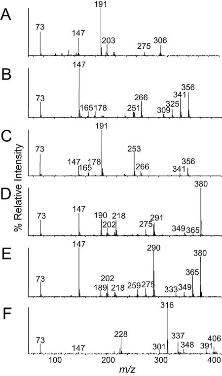 FIG. 5.