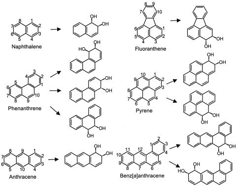 FIG. 7.