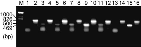 FIG. 6.