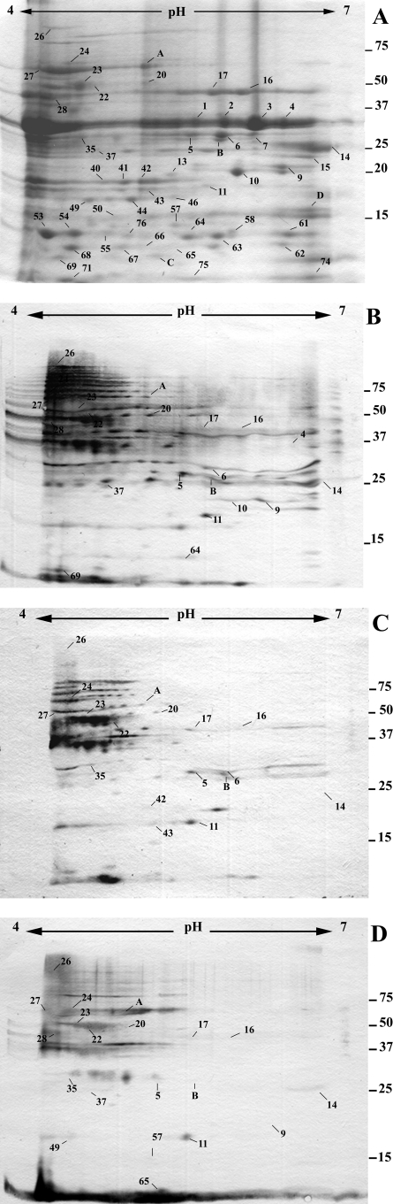 FIG. 4.