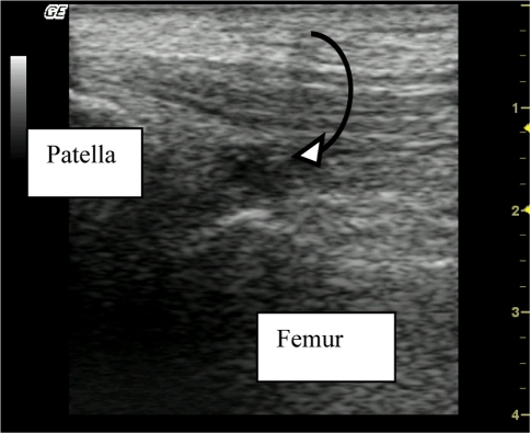 Fig. 7
