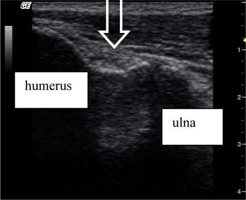 Fig. 6