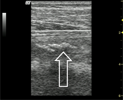 Fig. 8