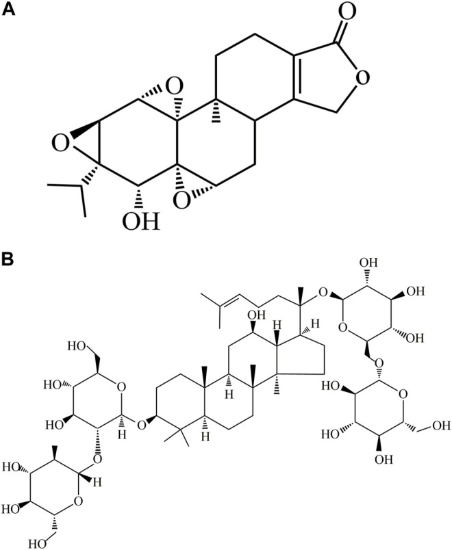 FIGURE 1