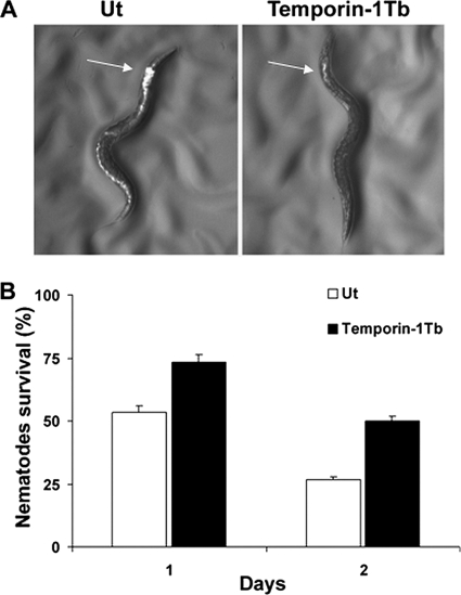 FIG. 5.